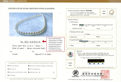 🔥 2025-ös Forró Eladás –⏰Prémium Japán AAAA Akoya Gyöngy Nyaklánc ✨