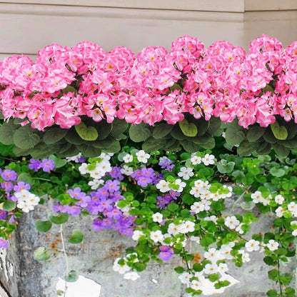 🔥3000 HUF Csak ma kapható -🌺 UV-álló, élethű műmuskátli virágok