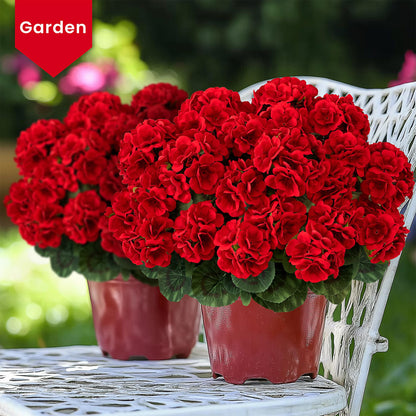 🔥3000 HUF Csak ma kapható -🌺 UV-álló, élethű műmuskátli virágok