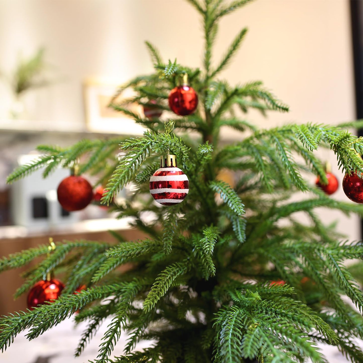 🎄Valódi Érintésű Norfolk Fenyőfa - 50 CM-ES KARÁCSONYFA