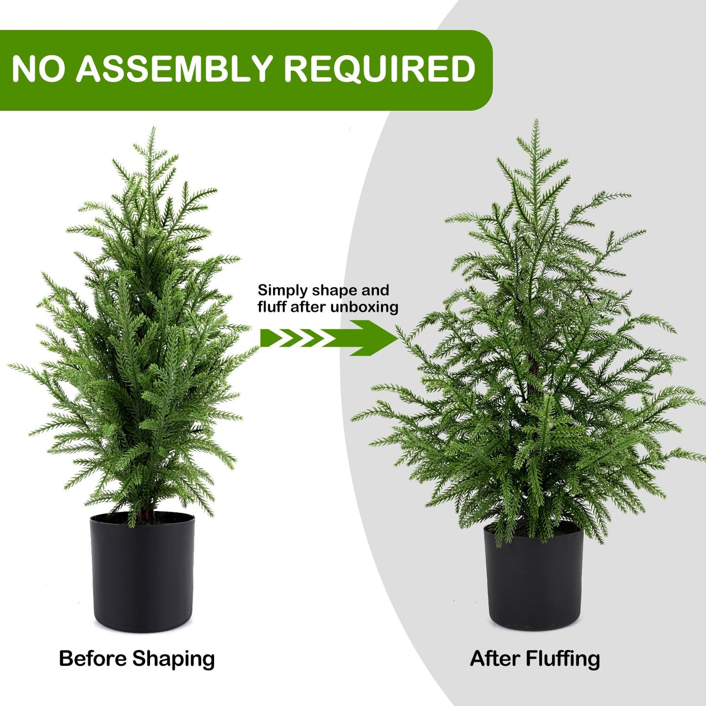 🎄Valódi Érintésű Norfolk Fenyőfa - 50 CM-ES KARÁCSONYFA