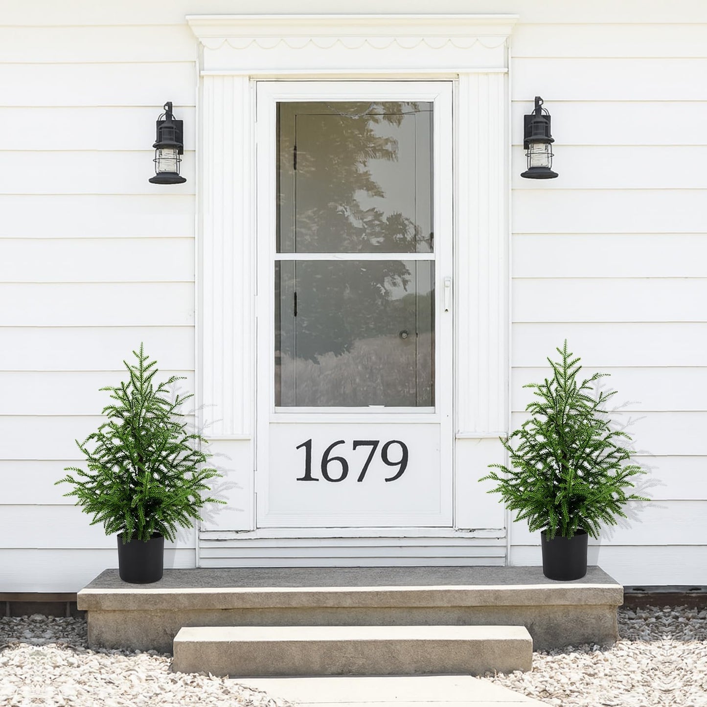 🎄Valódi Érintésű Norfolk Fenyőfa - 50 CM-ES KARÁCSONYFA