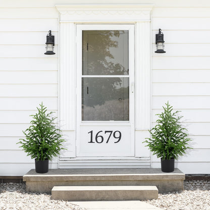 🎄Valódi Érintésű Norfolk Fenyőfa - 50 CM-ES KARÁCSONYFA