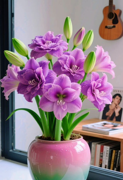 🔥 2025-ös kiárusítás 🌌 Fagyálló, dupla szirmú illatos amarillisz hagymák – Dobd fel az életed egész évben!